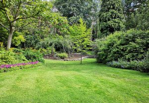 Optimiser l'expérience du jardin à Pierrefitte-Nestalas