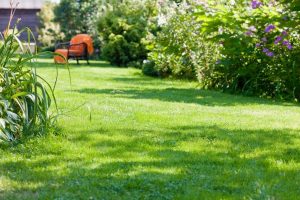 travaux jardin et paysage Pierrefitte-Nestalas